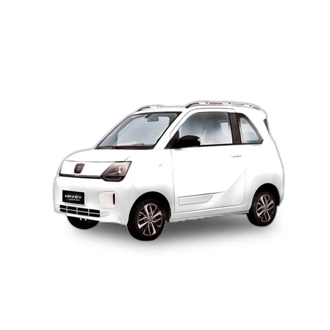 Mini Ev High Trim